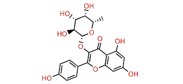 Acanthophorin A